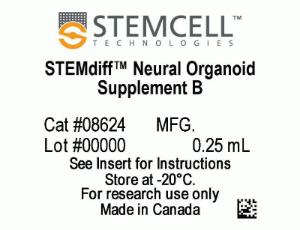 STEMdiff™ Dorsal Forebrain Organoid Differentiation kit