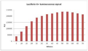 D(-)-Luciférine sel de sodium ≥99.5% sans endotoxine