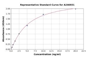 Representative standard curve for Human Collagen I ELISA kit (A246931)