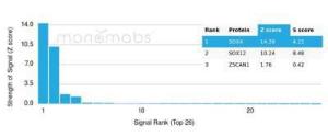 Analysis of protein array containing more than 19,000 full-length human proteins using Anti-SOX4 Antibody [PCRP-SOX4-1D6] Z-Score and S- Score