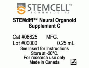 STEMdiff™ Dorsal Forebrain Organoid Differentiation kit