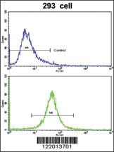 Anti-ABCC5 Rabbit Polyclonal Antibody