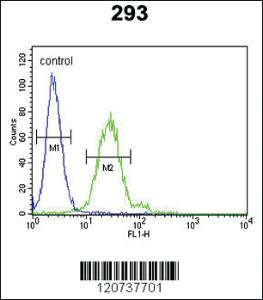 Anti-OR5I1 Rabbit Polyclonal Antibody