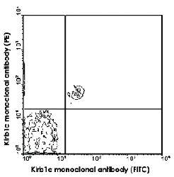 Anti-KLRB1C Mouse Monoclonal Antibody (FITC (Fluorescein isothiocyanate)) [clone: PK136]