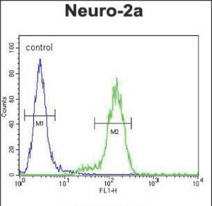 Anti-VWA3B Rabbit Polyclonal Antibody