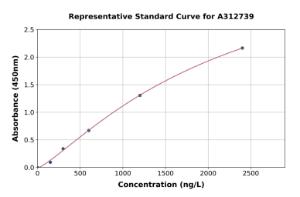 Representative standard curve for Human CPE ELISA kit (A312739)