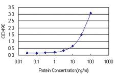 Anti-SPR Polyclonal Antibody Pair