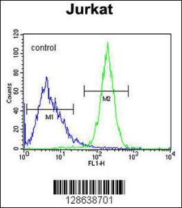 Anti-CWC22 Rabbit Polyclonal Antibody (FITC (Fluorescein Isothiocyanate))