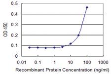 Anti-ITPA Mouse Monoclonal Antibody [clone: 2H8]