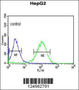 Anti-ZNF202 Rabbit Polyclonal Antibody