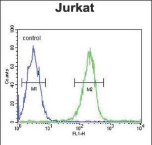 Anti-DTX1 Rabbit Polyclonal Antibody