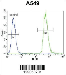 Anti-WDR52 Rabbit Polyclonal Antibody