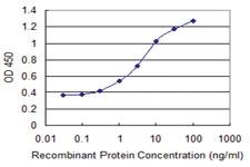 Anti-ZSCAN18 Mouse Monoclonal Antibody [clone: 2H1]