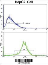 Anti-HPD Rabbit Polyclonal Antibody