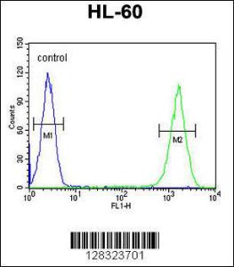 Anti-ZNF30 Rabbit Polyclonal Antibody (APC (Allophycocyanin))