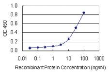 Anti-RAMP2 Mouse Monoclonal Antibody [clone: 2F5]