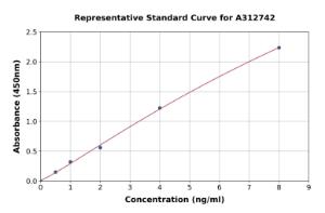 Representative standard curve for Human SESN2/Sestrin-2 ELISA kit (A312742)