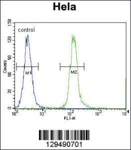 Anti-CPSF4L Rabbit Polyclonal Antibody