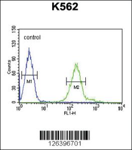 Anti-UBAP2 Rabbit Polyclonal Antibody