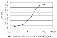 Anti-RAMP3 Mouse Monoclonal Antibody [clone: 1C11]