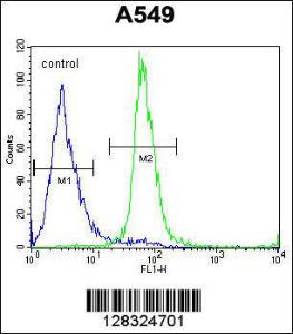 Anti-ZNF324B Rabbit Polyclonal Antibody