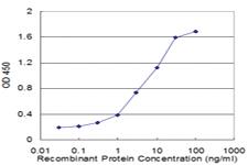 Anti-FHL3 Mouse Monoclonal Antibody [clone: 2C10]