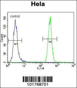 Anti-HSPA13 Rabbit Polyclonal Antibody (AP (Alkaline Phosphatase))