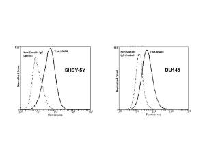 TrkA expression on non-permeabilized human SHSY-5Y neuroblastoma and DU145 prostate cancer cell lines analysed by Flow Cytometry.