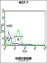 Anti-GPHN Rabbit Polyclonal Antibody (Biotin)