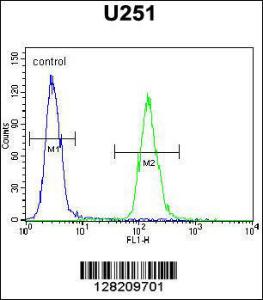 Anti-ZNF536 Rabbit Polyclonal Antibody (Biotin)