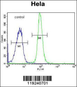 Anti-DONSON Rabbit Polyclonal Antibody