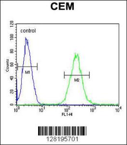 Anti-ZNF667 Rabbit Polyclonal Antibody