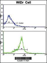 Anti-MARCH1 Rabbit Polyclonal Antibody