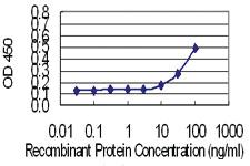 Anti-FKBP1A Mouse Monoclonal Antibody [clone: 1E5-A12]