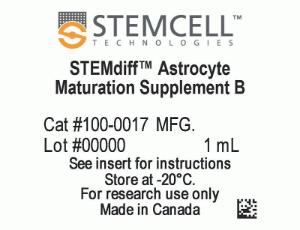 STEMdiff™ Astrocyte maturation kit