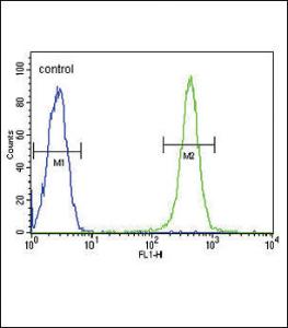 Anti-GPI Rabbit Polyclonal Antibody (PE (Phycoerythrin))