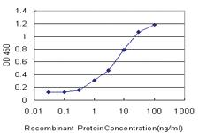 Anti-KHSRP Mouse Monoclonal Antibody [clone: 4C10]