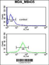 Anti-GPR17 Rabbit Polyclonal Antibody (AP (Alkaline Phosphatase))