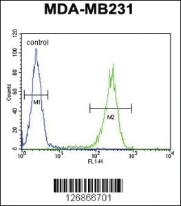 Anti-RAB11FIP2 Rabbit Polyclonal Antibody