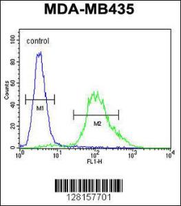 Anti-ZNF98 Rabbit Polyclonal Antibody (Biotin)