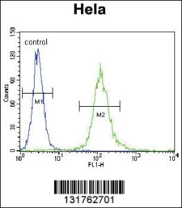 Anti-CYC1 Rabbit Polyclonal Antibody