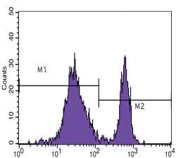 Anti-CD4 Mouse Monoclonal Antibody [clone: B486A1]