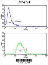 Anti-PTGER2 Rabbit Polyclonal Antibody (AP (Alkaline Phosphatase))