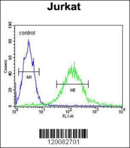 Anti-GPRASP1 Rabbit Polyclonal Antibody