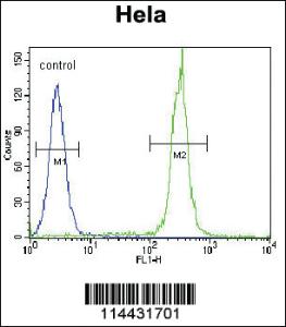 Anti-CD34 Rabbit Polyclonal Antibody