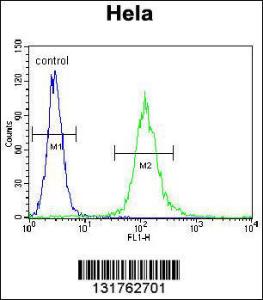 Anti-CYC1 Rabbit Polyclonal Antibody (Biotin)