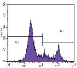 Anti-CD8A Mouse Monoclonal Antibody [clone: RAVB3]