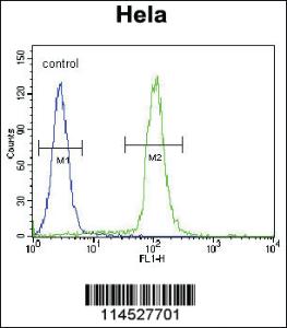 Anti-GDF6 Rabbit Polyclonal Antibody