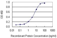 Anti-ITPKB Mouse Monoclonal Antibody [clone: 2F8]