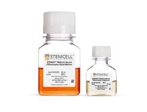 STEMdiff™ Midbrain Neuron Differentiation kit